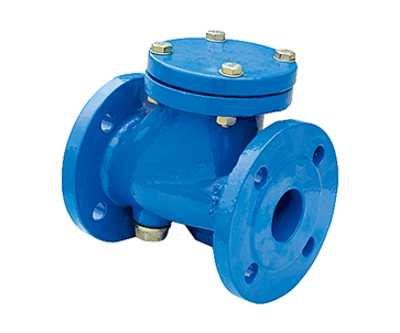 ZHRIB-D1 DIN 3202 BALL TYPE Check Valves Flanged End