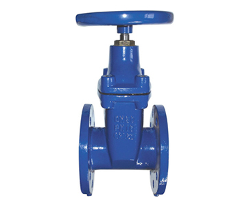 ZRIN-D41 Resilient Seated Flanged Gate Valves