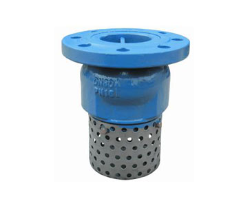 Ductile Iron Foot Valve Flange End