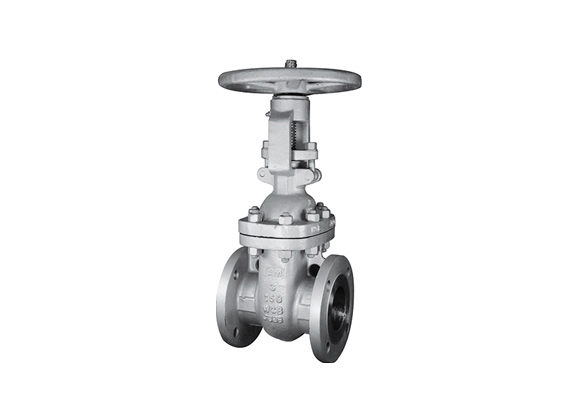 ZMWO-A1 WCB Body Flanged Gate Valves