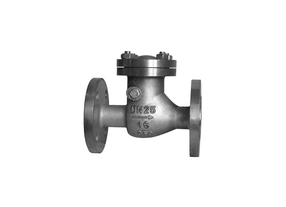 ZHMSS-D1 DIN 3202 Swing Type Check Valves Flanged End