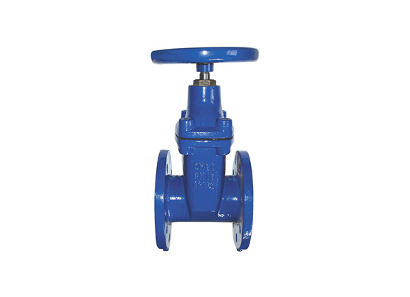 ZRIN-D41 Resilient Seated Flanged Gate Valves