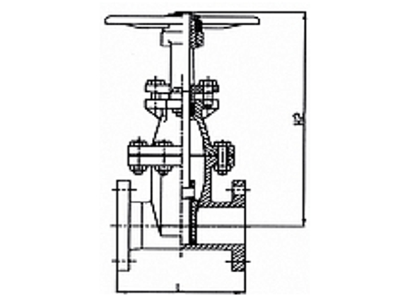 ZMIN-D41 Ductile Iron Body Flanged Gate Valves