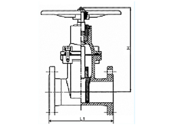 ZRIN-D41 Resilient Seated Flanged Gate Valves